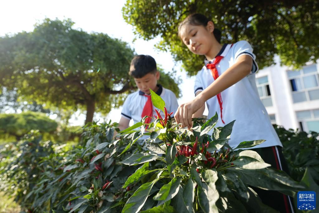 手机购彩软件